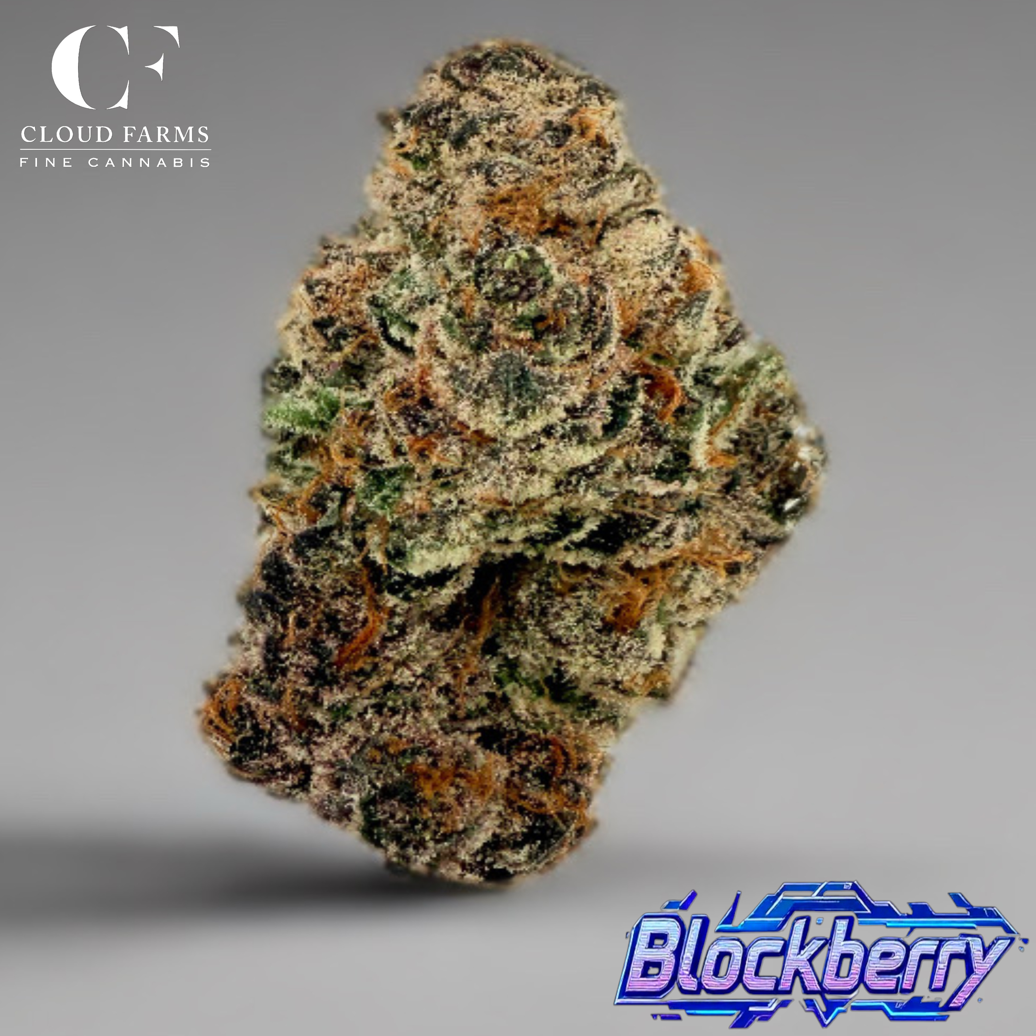 Photograph of Product: Cloud Farms | Blockberry - 2g