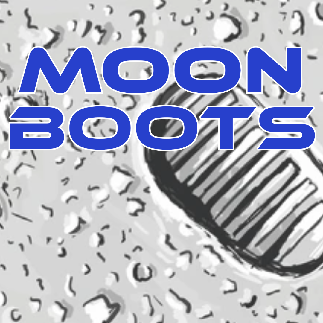 Photograph of product: Envy Farms | Moon Boots | Bulk | Hybrid - 28g