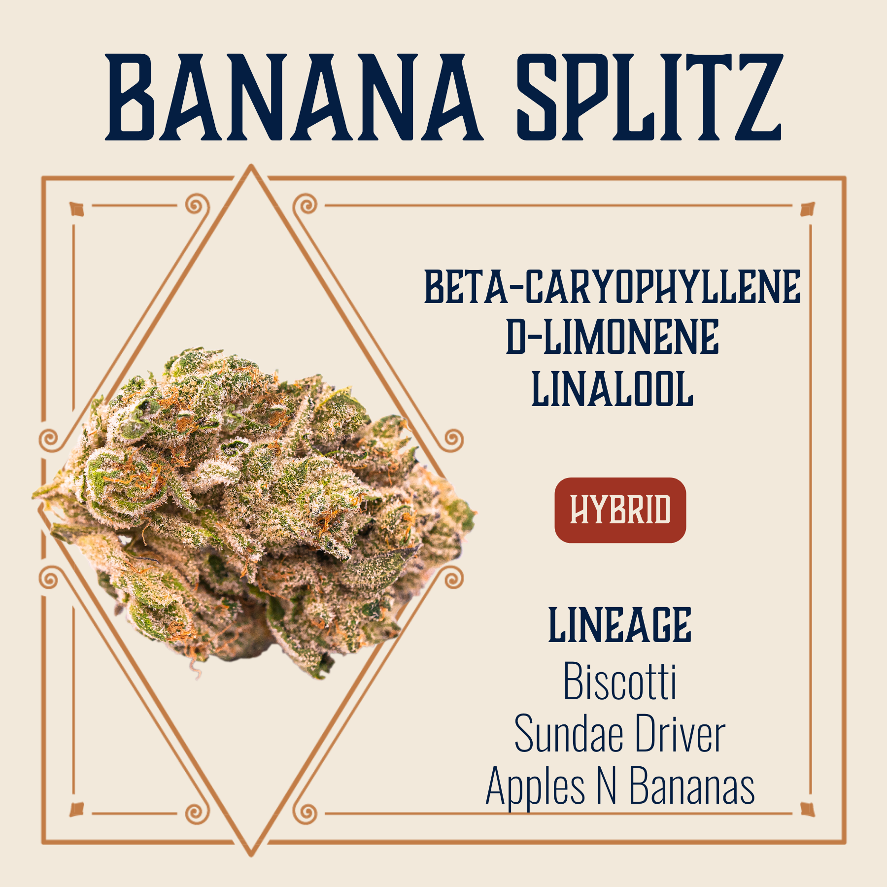 Photograph of product: Banana Splitz Flower | 3.5g