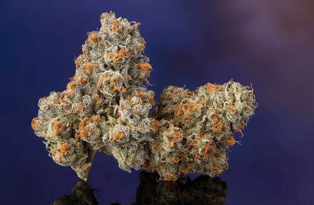 Photograph of product: KRYPTO CHRONIC 3.5G - 