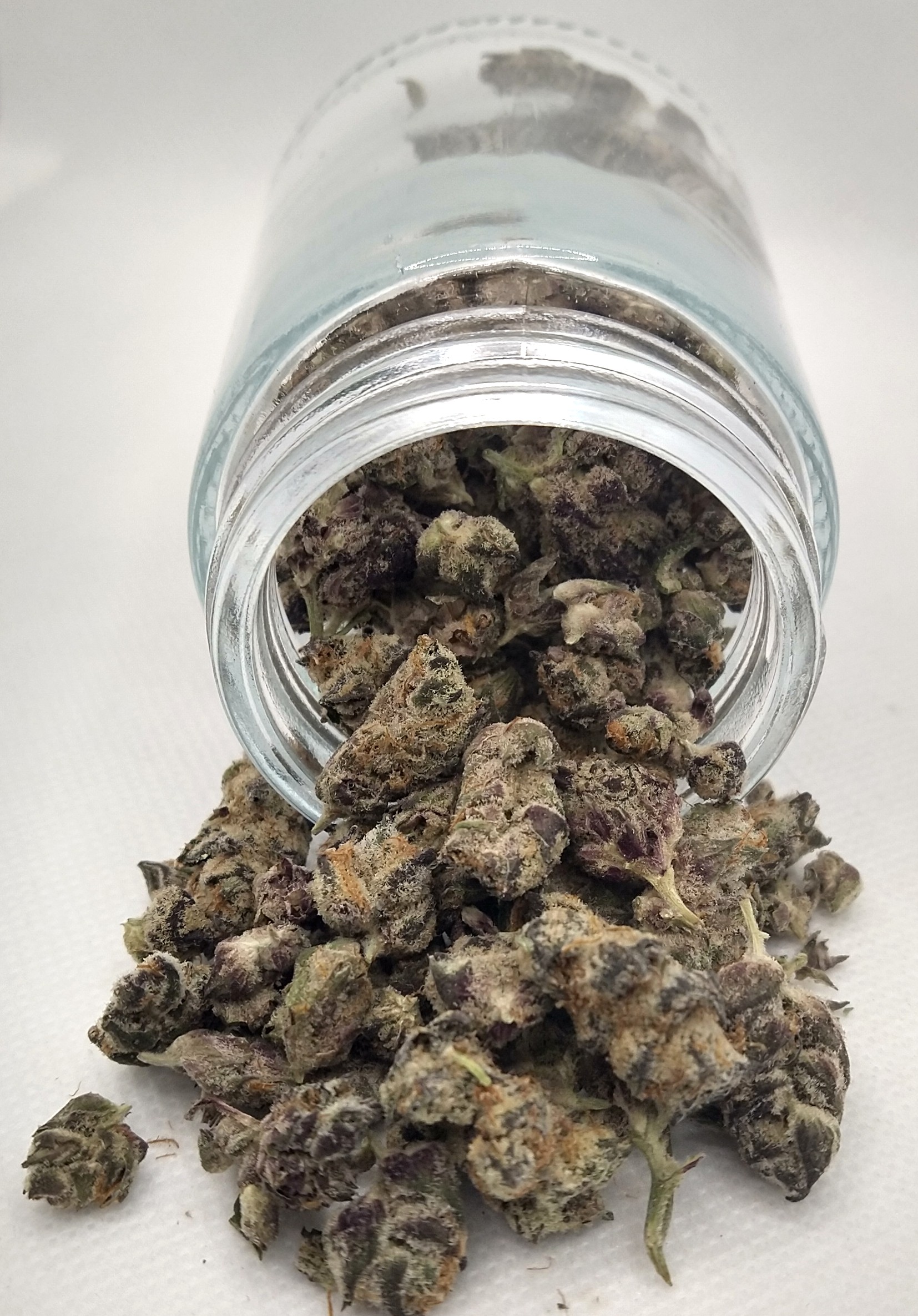 Photograph of product: TruSmoke | Gator Breath | Oui'd | Bulk Flower | Silver - 3.5g