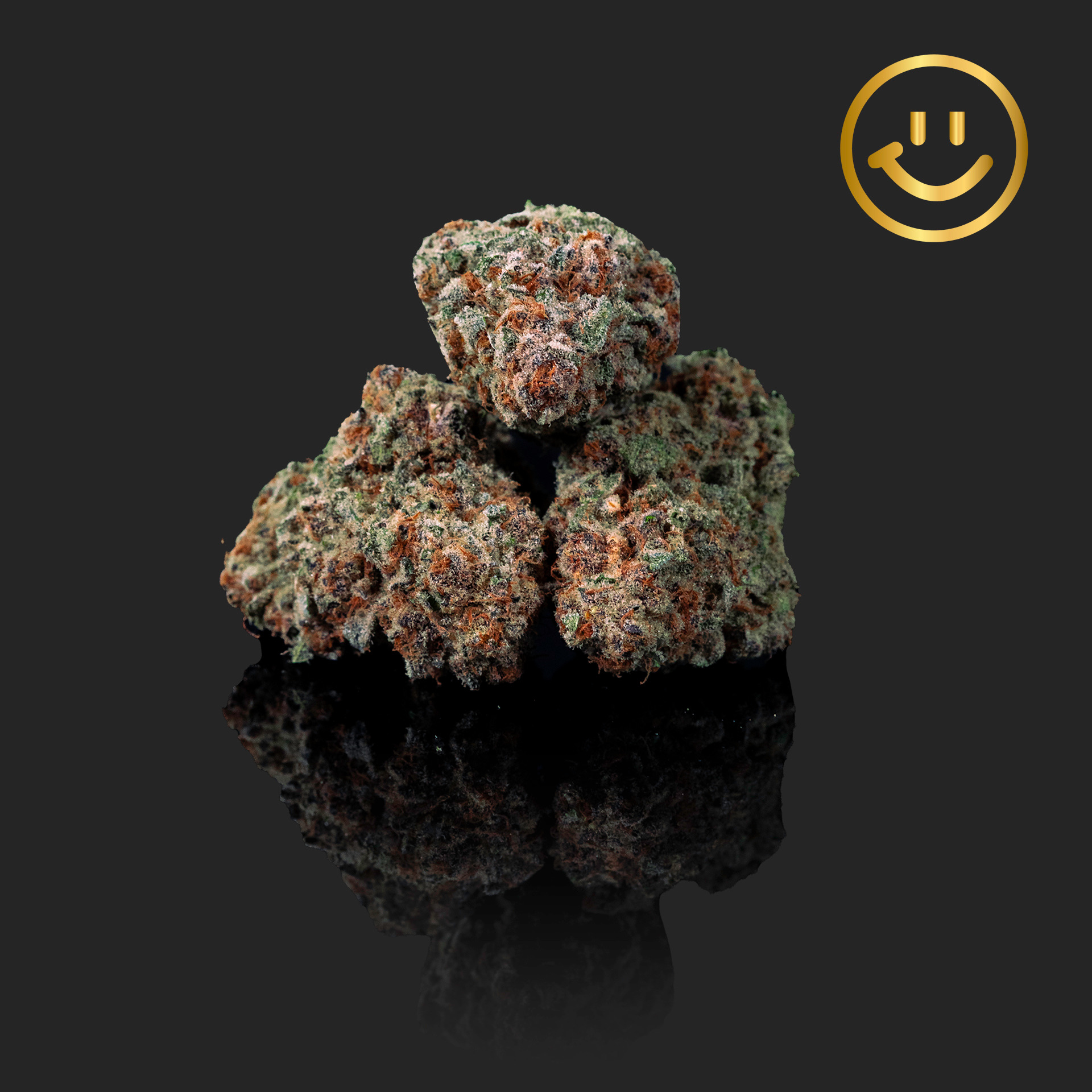 Photograph of product: Utokia | Subzero | indoor flower