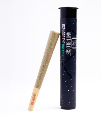 Photograph of product: Anthologie | Pre-roll | AJ's Sour Diesel | 1g - Oui'd