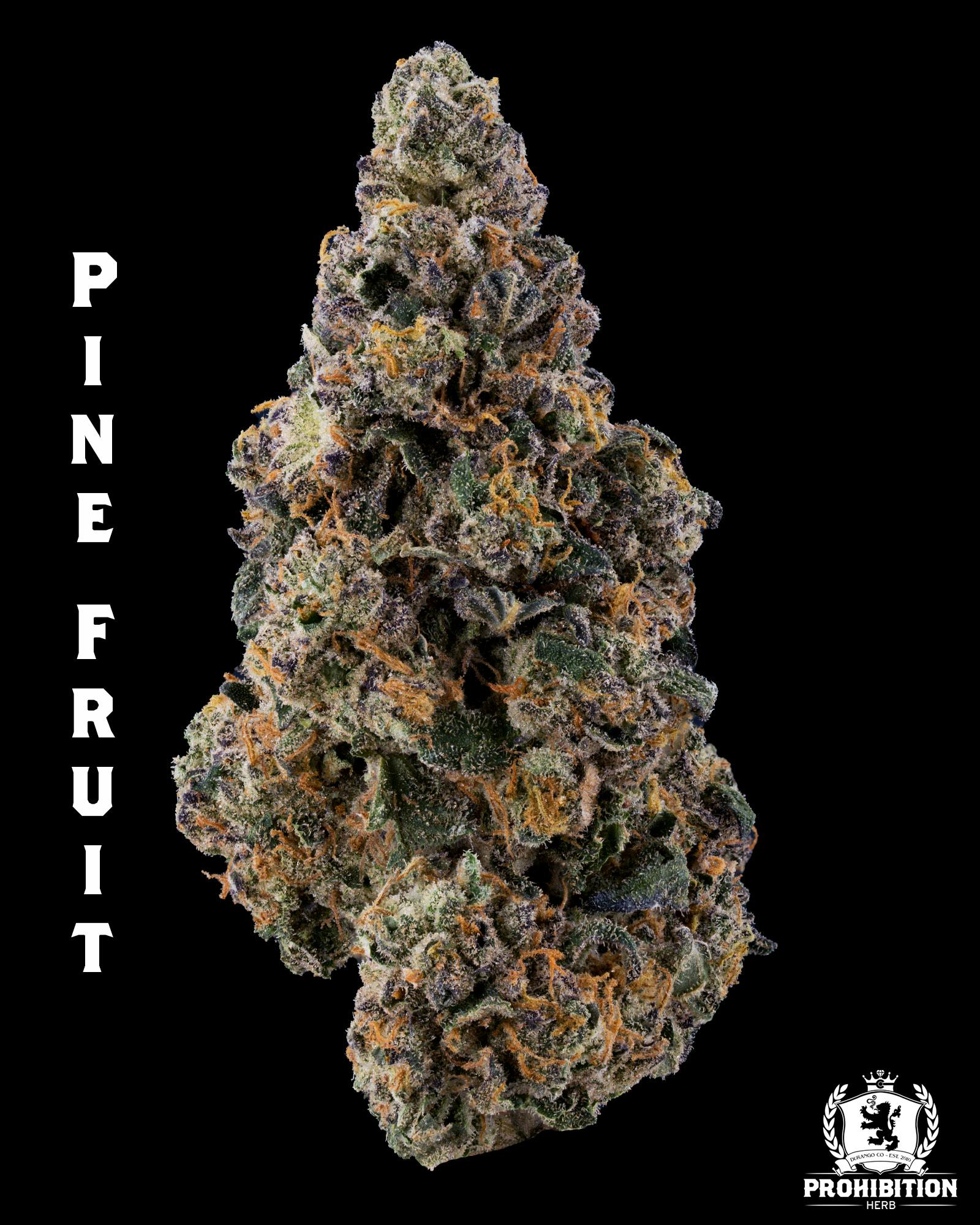 Photograph of product: Pine Fruit