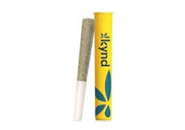 Photograph of product: Bolo Runtz | 1g Preroll