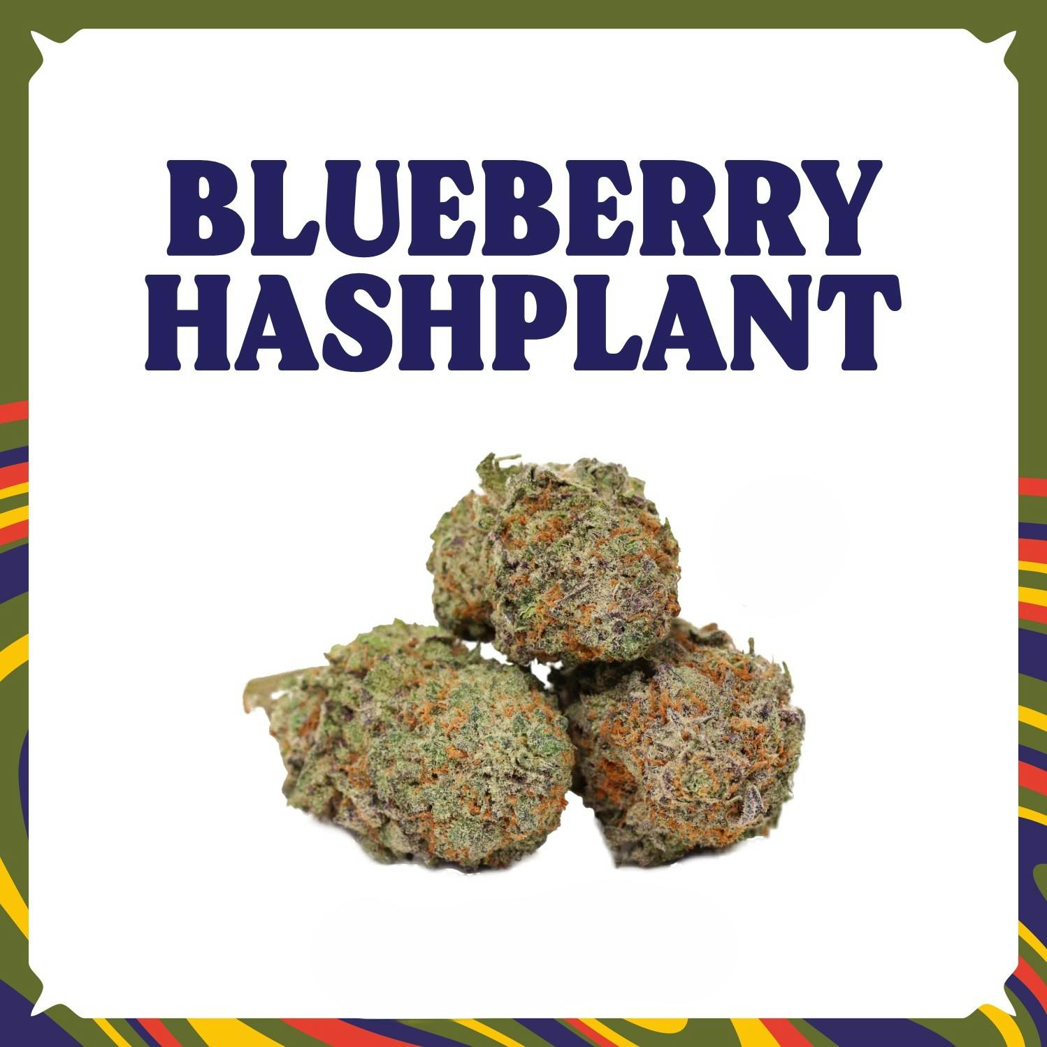 Photograph of product: Awssom Whole Flower (1/8 Oz) Blueberry au chocolatplant (S) 0014