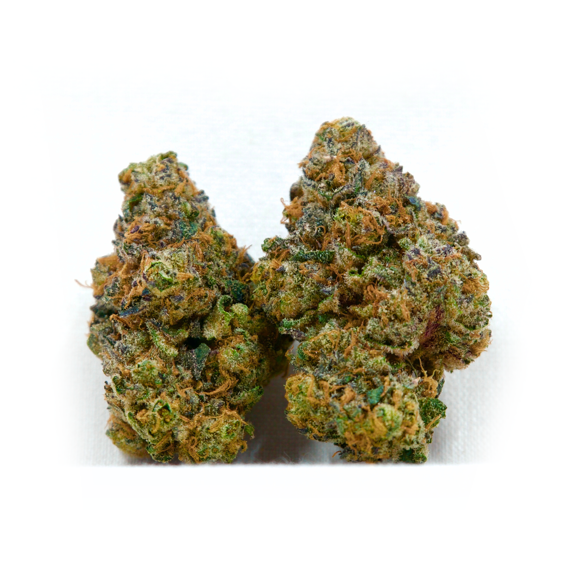 Photograph of product: Zoap | TAC: 24.1% - 28g