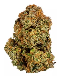 Photograph of product: Baseline | Chernobyl 14g