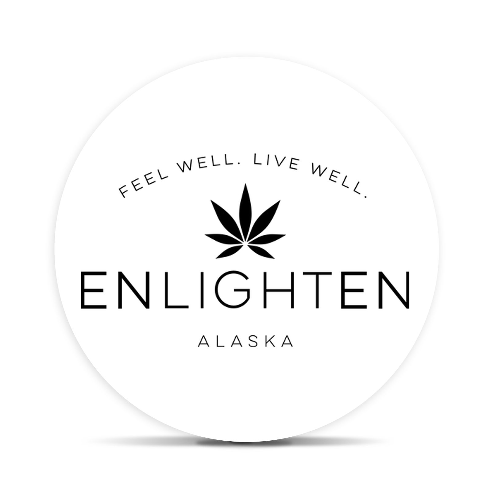 Logo for img-fluid: Enlighten Alaska