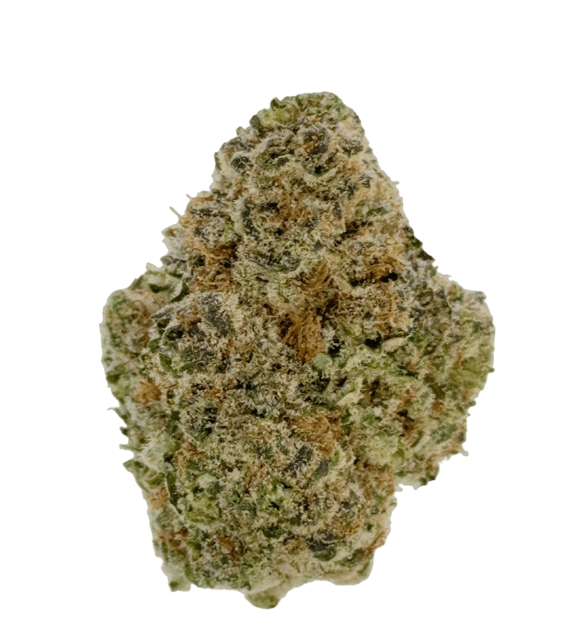 Photograph of product: Mimosa - 