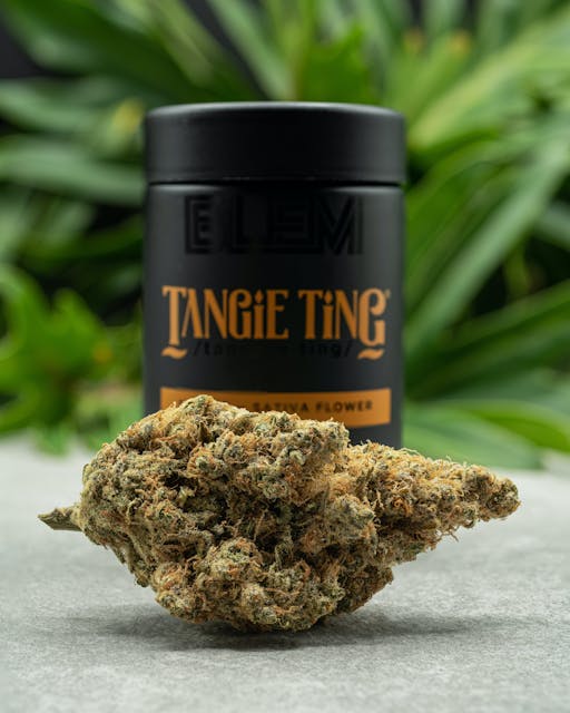 Photograph of Product: TANGIE TING | 3.5g - 