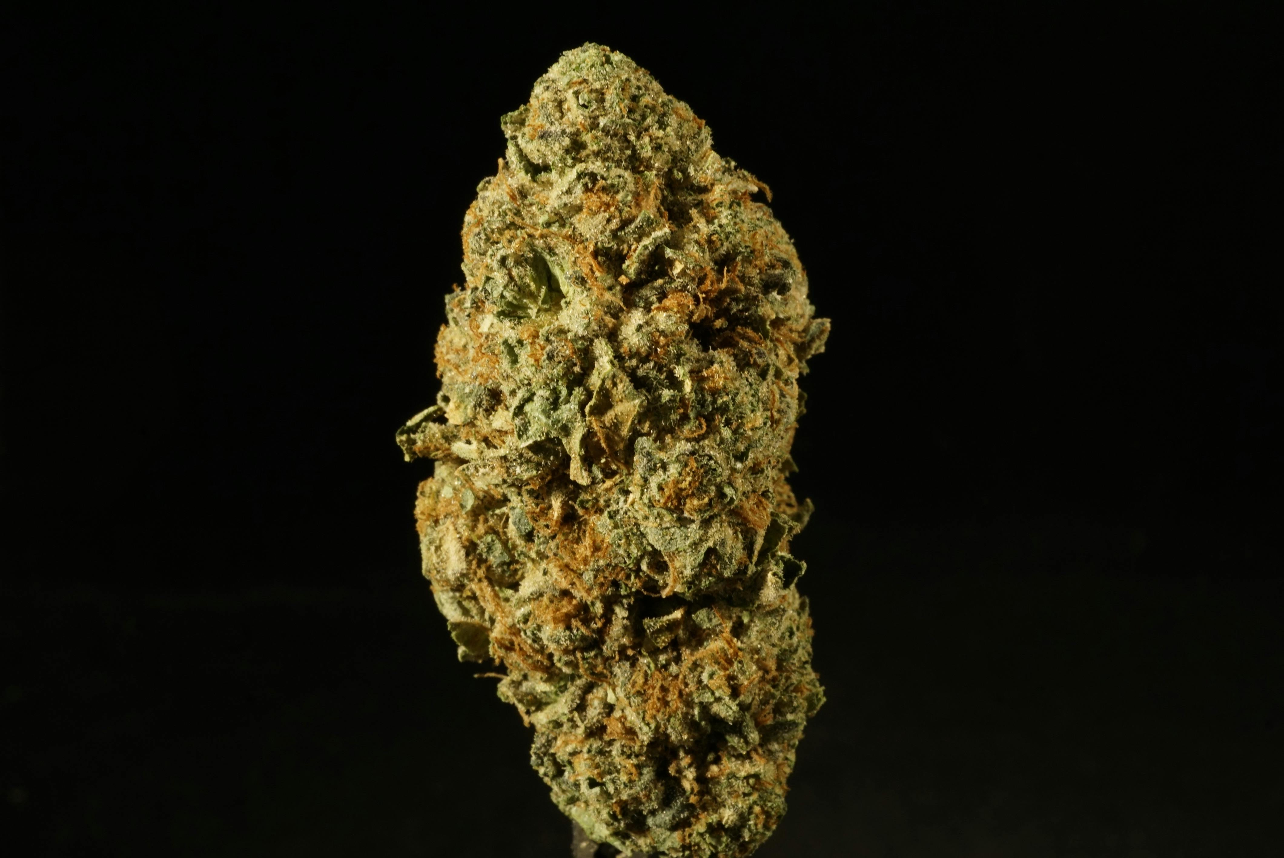 Photograph of Product: Dankarooz