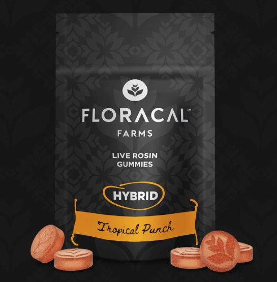 Photograph of product: Tropical Punch | Live Rosin | Gummies