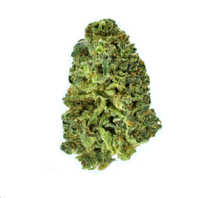 Photograph of product: Champion City Chocolate Whole Flower 3.5g