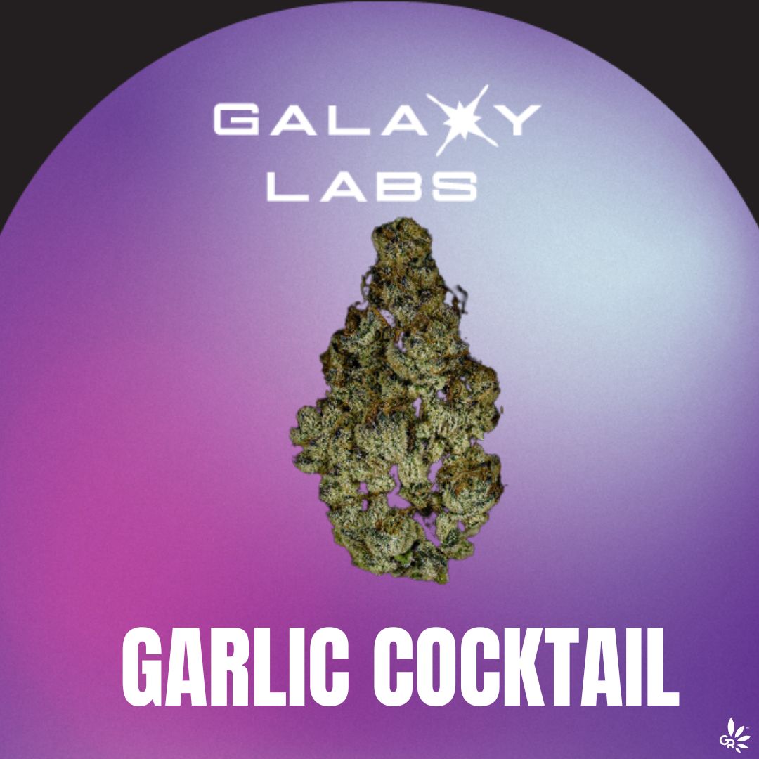 Photograph of product: Galaxy Labs - Flower - Garlic Cocktail (3.5g)