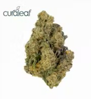 Photograph of product: Curaleaf Whole Flower Jayna's Sunshine (H) 00976 TC 34.155 (AU) - 3.5g