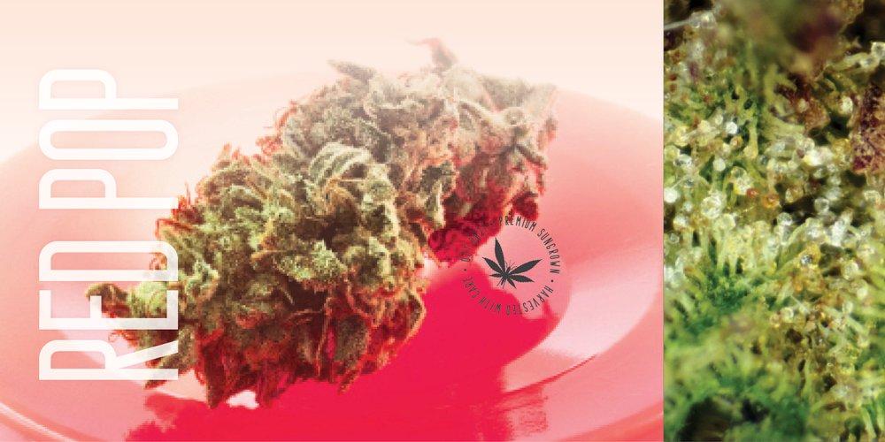 Photograph of product: Smoke Bomb | Flower - 28g