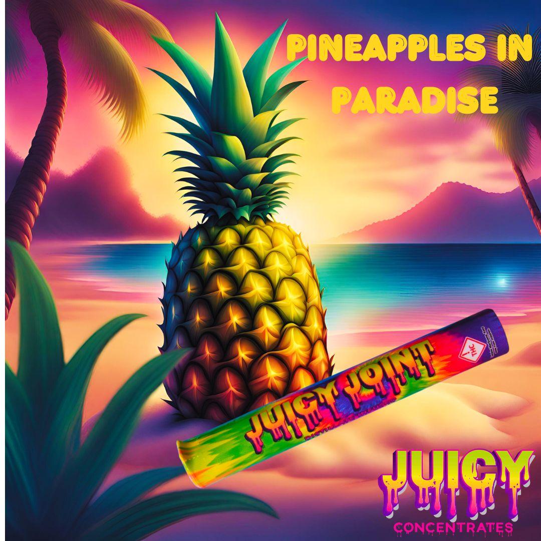 Photograph of product: Juicy Infused Preroll (S) Pineapples in Paradise