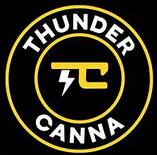 Photograph of product: Thunder Canna - 5G Live Resin - Platinum Sugar