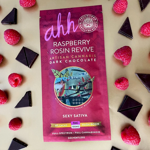 Photograph of product: Raspberry Rosin Revive Dark Chocolate | Oui'd | 100mg TH-oui