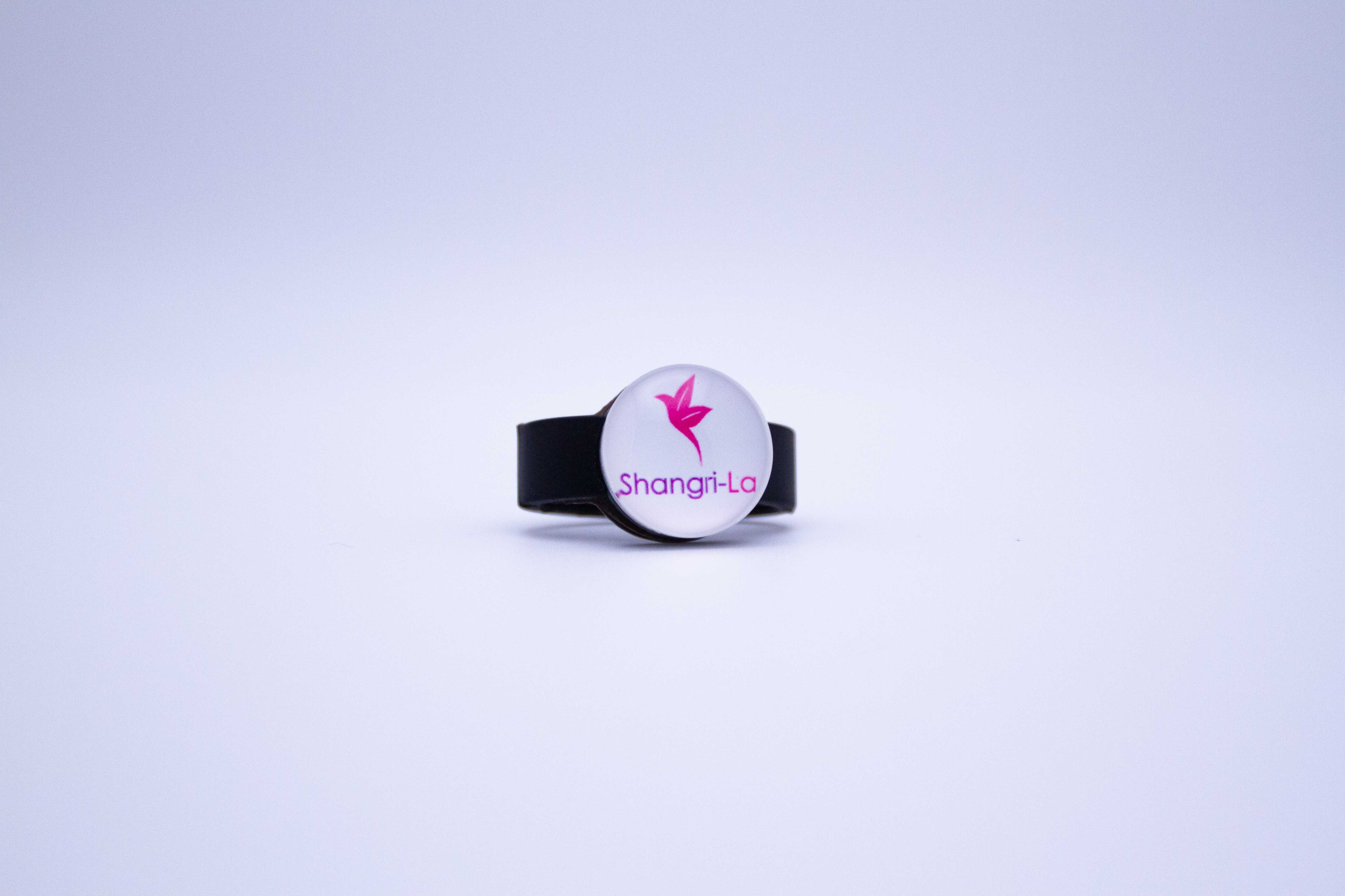 Photograph of product: Shangri-La Lighter Charm  Magnetized, Functional, and Iconic