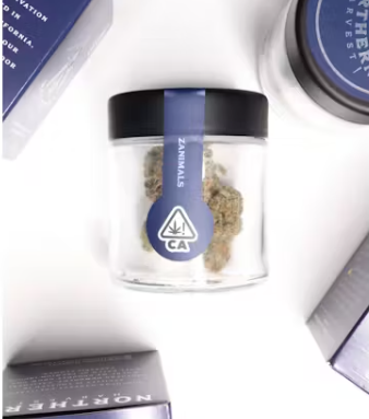 Photograph of product: Zanimals - Eighth