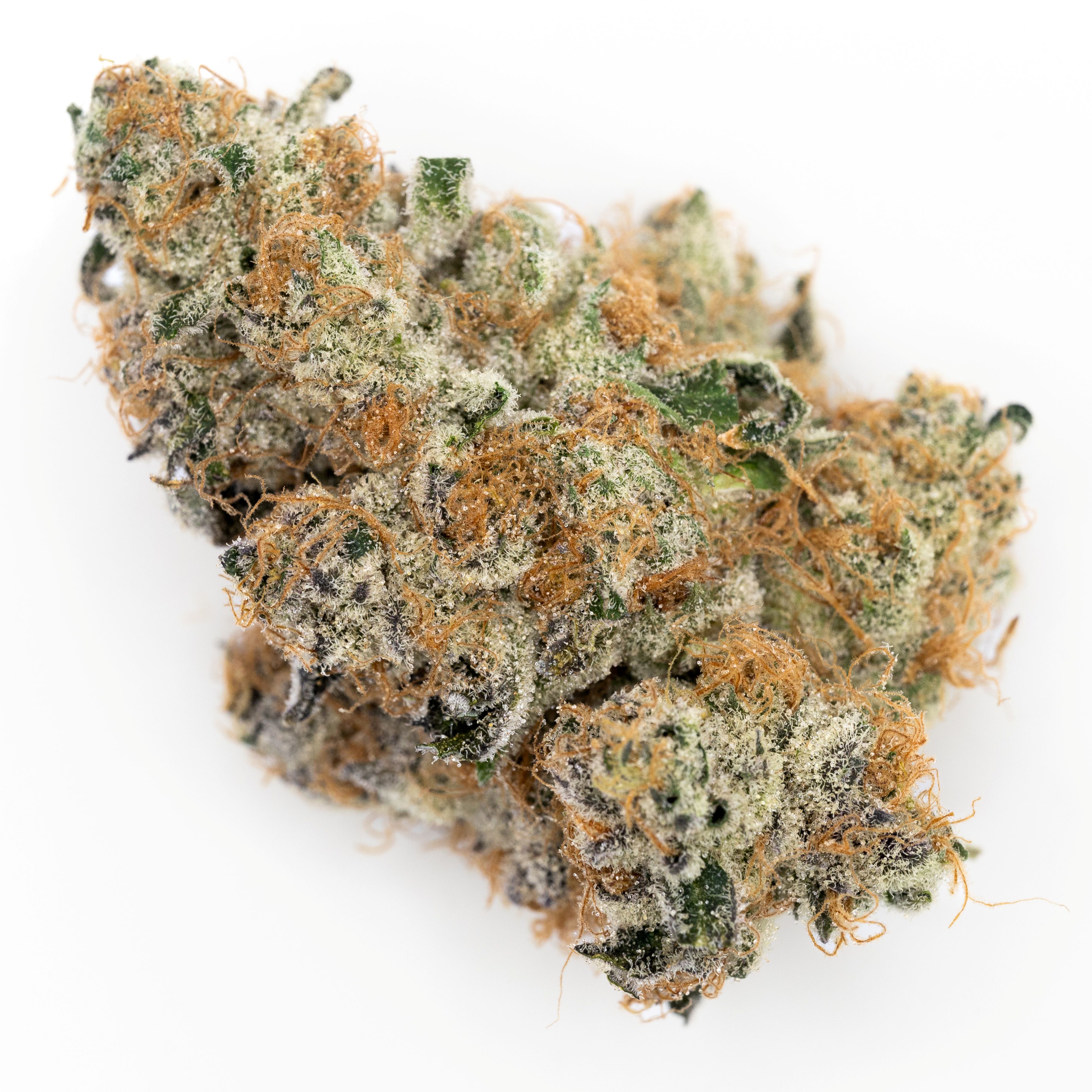 Photograph of product: Genesis Reserve Flower au chocolat Burger - 3.5g