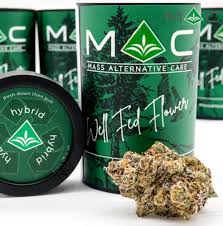 Photograph of product: Grape Zorilla - 3.5g