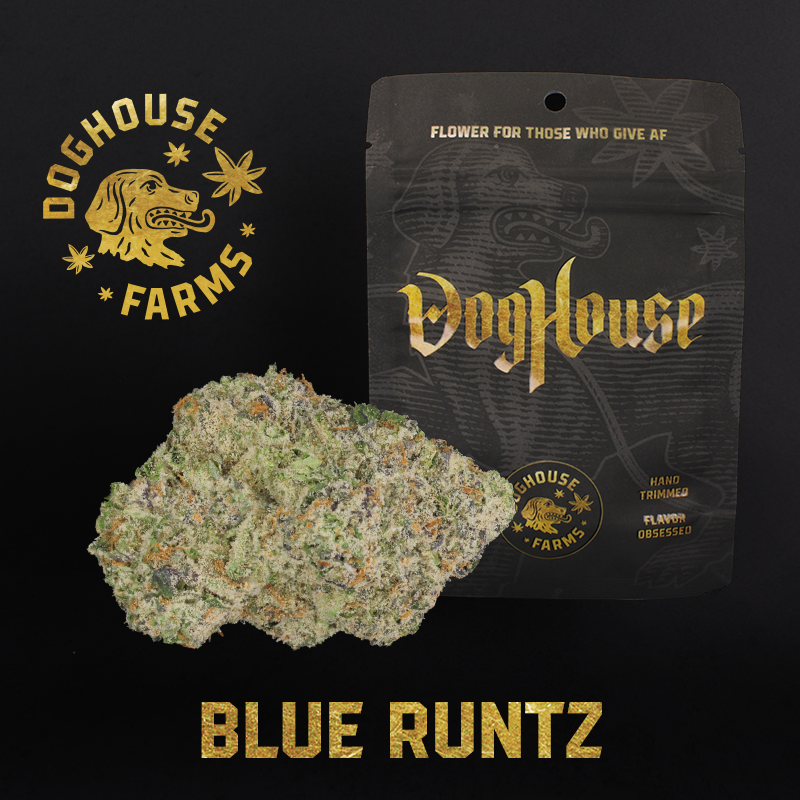 Photograph of product: Doghouse Blue Runtz 3.5g