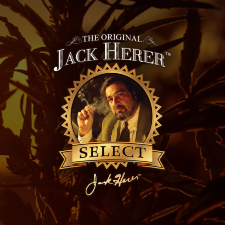 Photograph of product: JH MASTER [I] - 3.5 G
