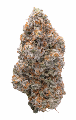Photograph of product: Grape Pie x Chem 4 Strain I Flower 3.5 - Chill - 3.5g