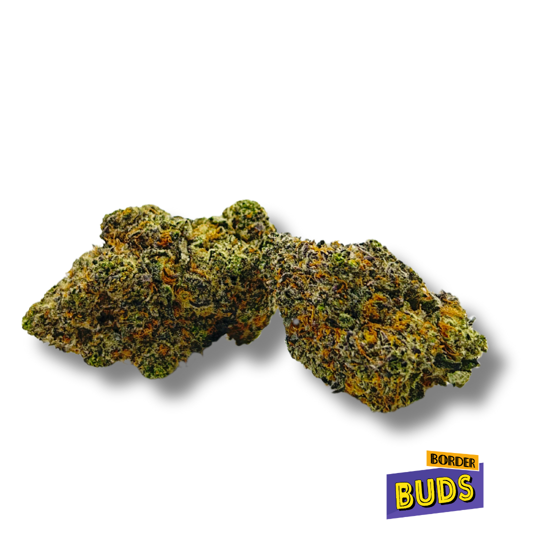 Photograph of product: Gelato #33 | Panda Oui'd | Deli-Flower - 28g
