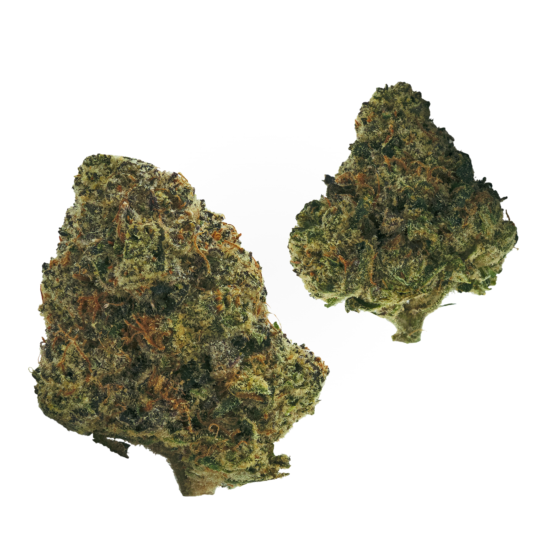 Photograph of product: Bolo Runtz - 28g