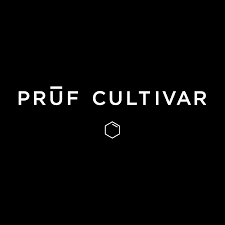 Photograph of product: Papaya Sorbet - Pruf Cultivar