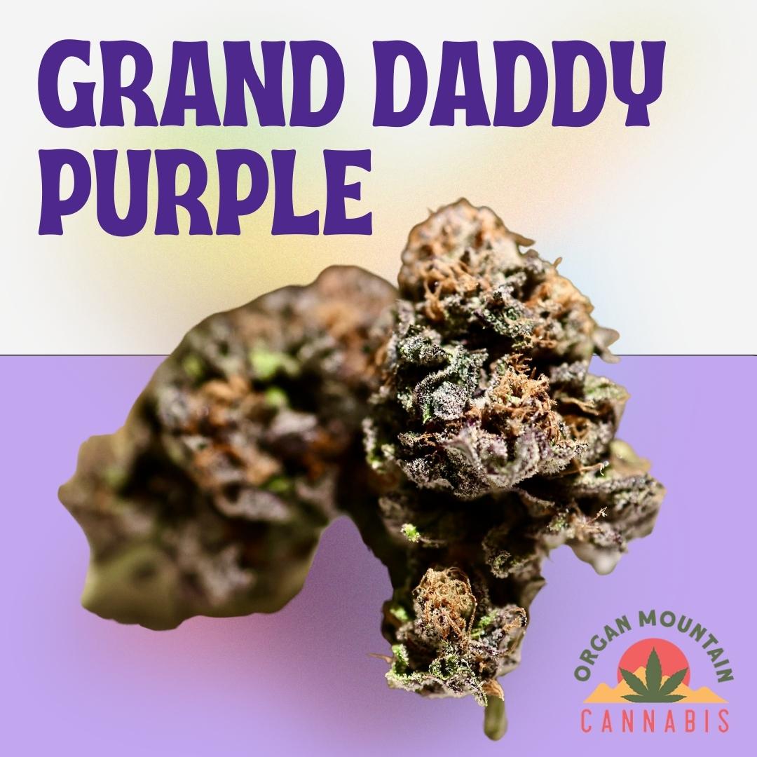 Photograph of product: Grandaddy Purple 1g Pre Roll