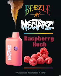 Photograph of product: Beezle: Nectarz Raspberry Kush Disposable - 1g