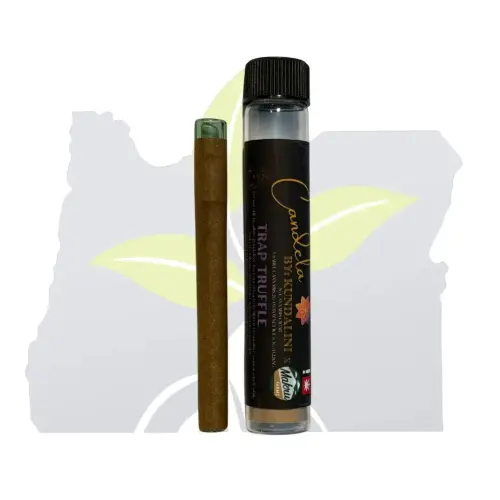 Photograph of Product: 2G Blunt-(R)Grape Gasoline