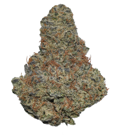 Photograph of product: Mai Tai - 458 - 28g