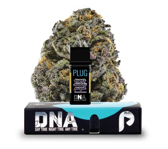 Photograph of product: Sugar Daddy Purple Plug