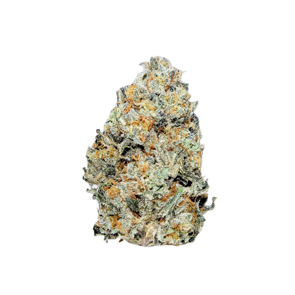 Photograph of Product: E85 Flower by Peninsula Gardens - 1g