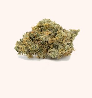 Photograph of product: CAMP SPACE BOOGIE