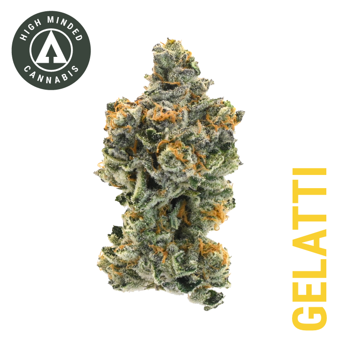 Photograph of product: Gelatti - 3.5g