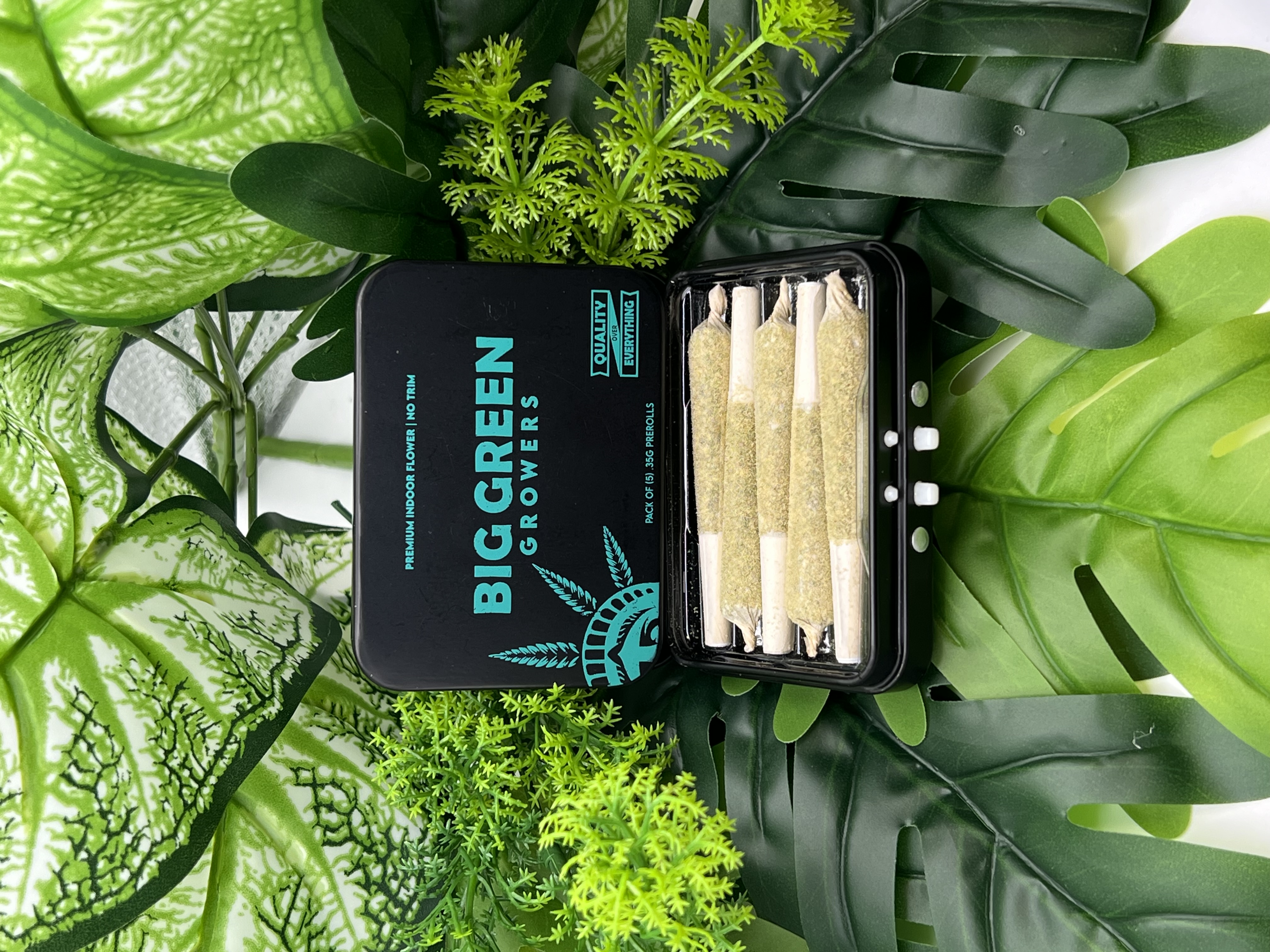 Photograph of product: Terpedos - Creature Feature  - 5pk - 1.75g