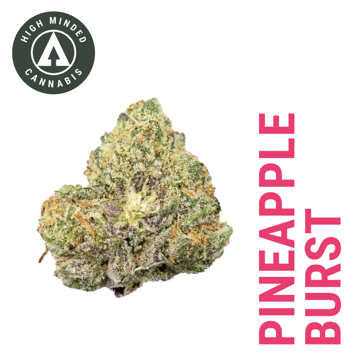 Photograph of product: Pineapple Burst - Platinum Tier - 14g