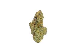 Photograph of product: Flower | Dyno Candy | Flwr Pot - 28g