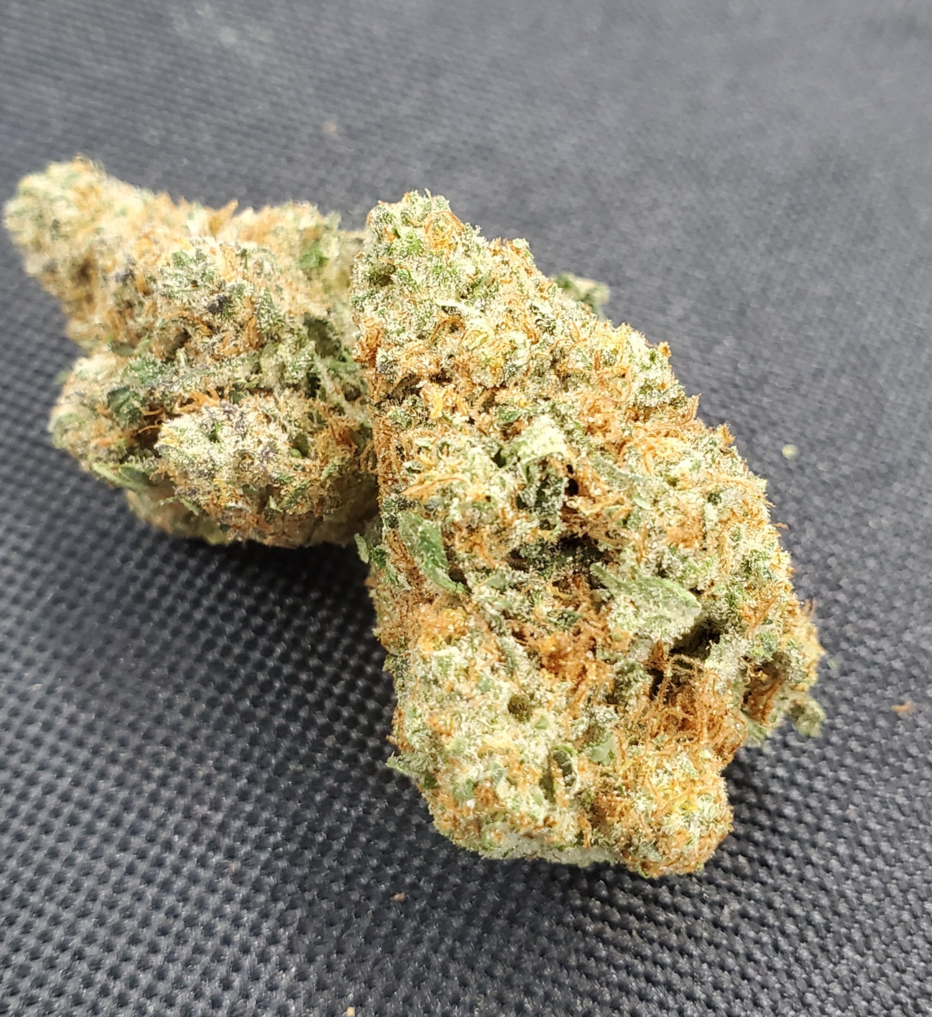 Photograph of product: Tangilope (S) - * - Orange Tier - Flower - 1g