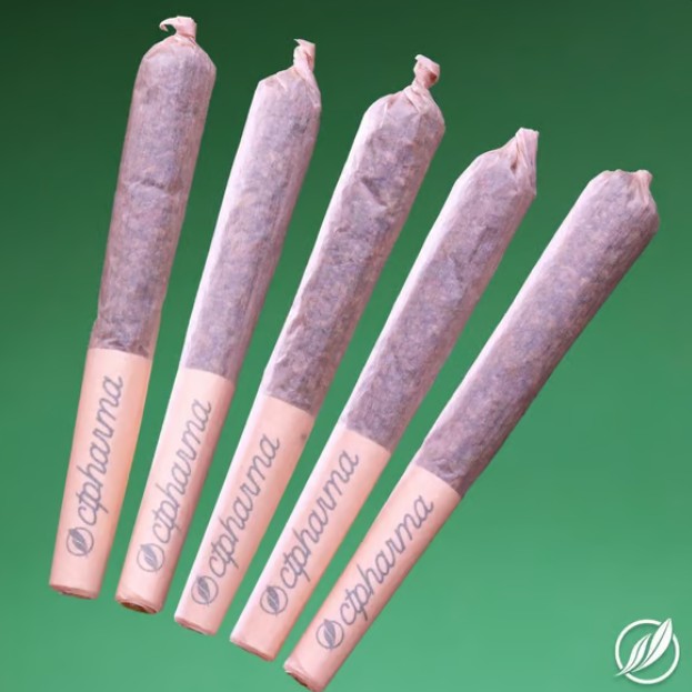 Photograph of product: Chem-band Shorties T24.83% H 5pk C0020025694