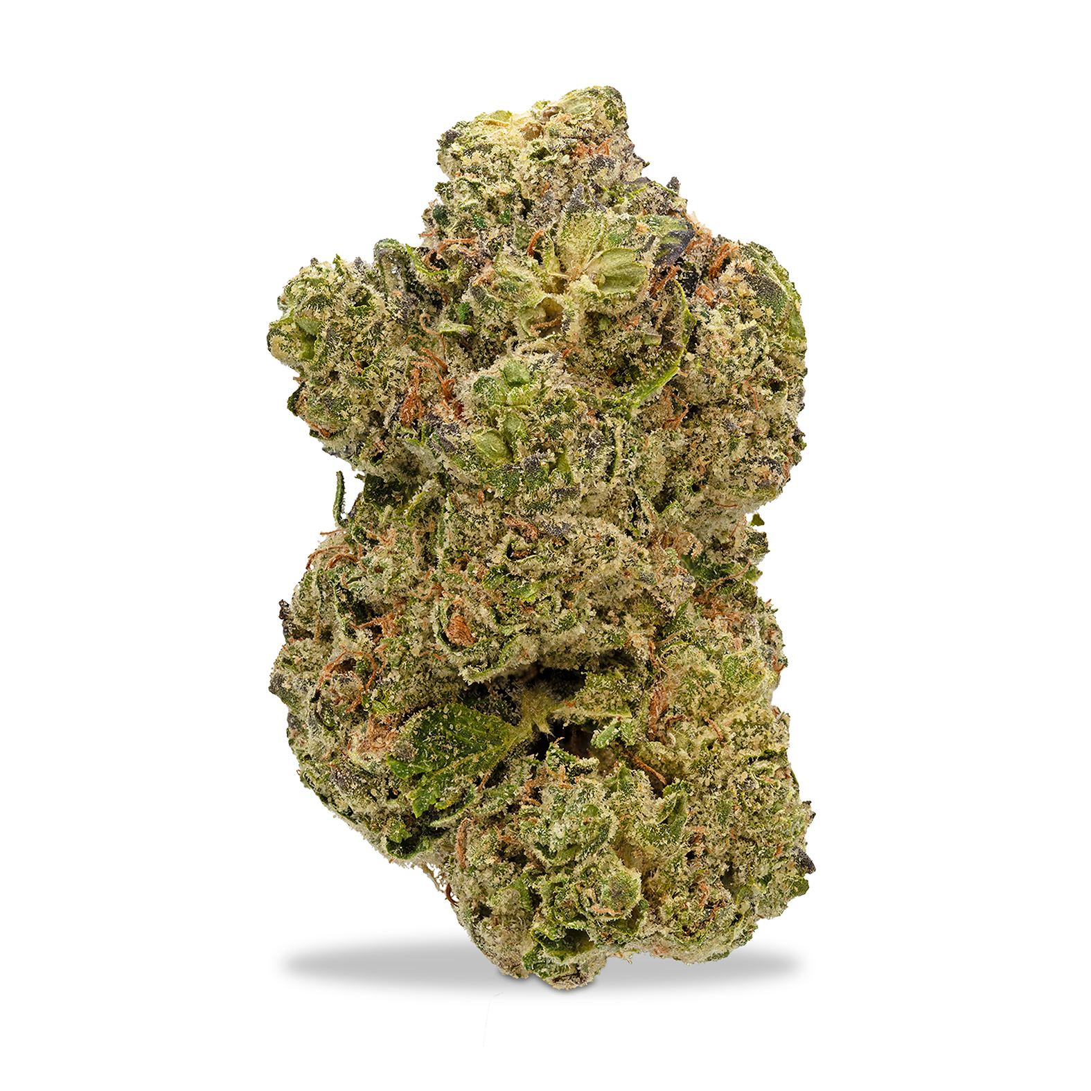 Photograph of product: Avitas - Infinity Linx - 1g