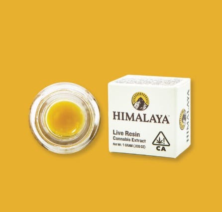 Photograph of product: Pavé Live Resin 1g - 