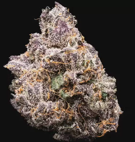 Photograph of product: Happy Farmer | Boston Runtz - 3.5g